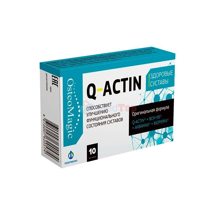 ⍙ Q-Actin ⏤ joint capsules